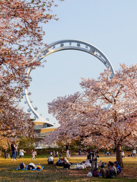 The Ferris wheel will stand almost 50m taller than the London Eye