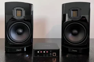 How to turn wired speakers into wireless ones