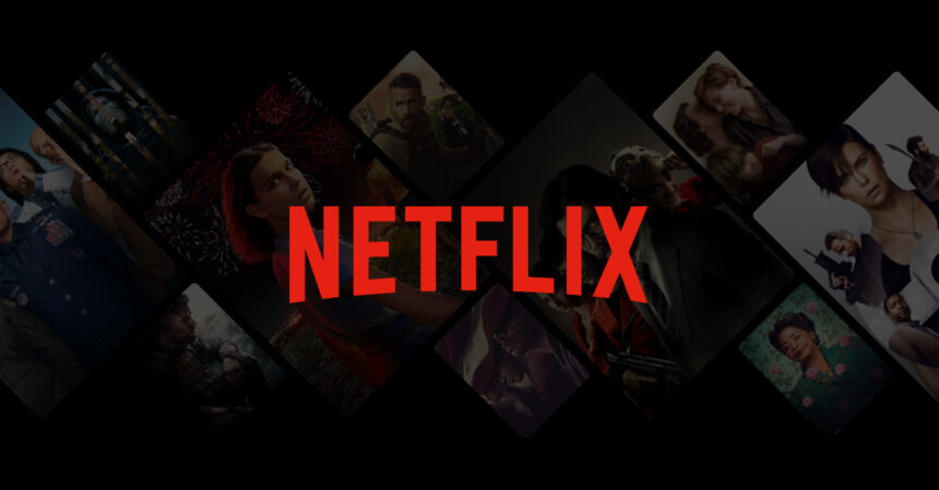Netflix stopped providing us with its user base statistics
